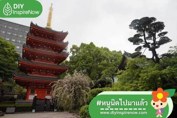 เที่ยวฟุกุโอกะ หน้าหนาว, เที่ยวฟุกุโอกะ ด้วยตัวเอง