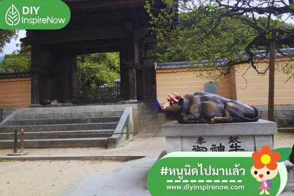 เที่ยวฟุกุโอกะ หน้าหนาว, เที่ยวฟุกุโอกะ ด้วยตัวเอง