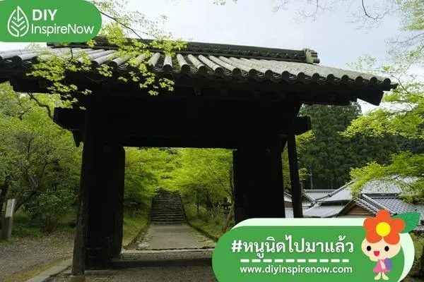 เที่ยวฟุกุโอกะ หน้าหนาว, เที่ยวฟุกุโอกะ ด้วยตัวเอง