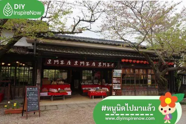 เที่ยวฟุกุโอกะ หน้าหนาว, เที่ยวฟุกุโอกะ ด้วยตัวเอง