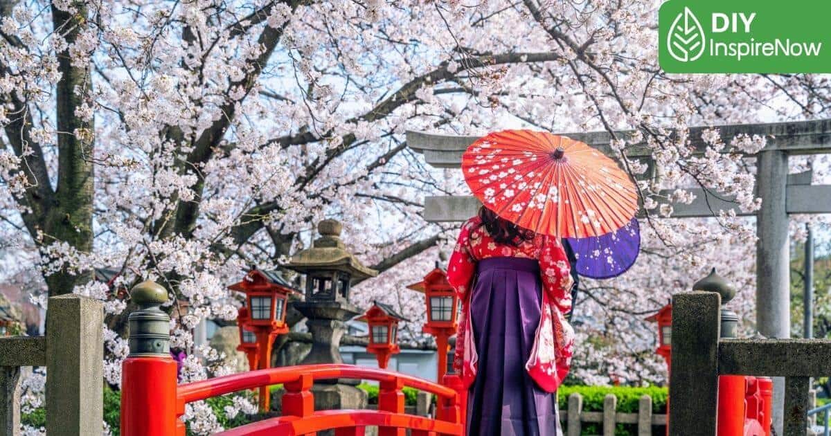 ที่เที่ยวชิบะ, เที่ยวชิบะ