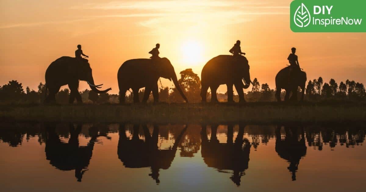 ที่เที่ยว จังหวัด สุรินทร์, สุรินทร์ ที่เที่ยว