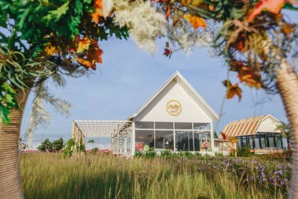 ที่เที่ยวปทุมธานีคาเฟ่, ปทุมธานี ที่เที่ยว