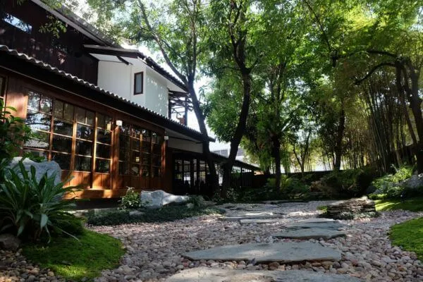 ร้านชาเขียว เชียงใหม่, ร้านชาเขียว