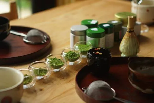 ร้านชาเขียว เชียงใหม่, ร้านชาเขียว