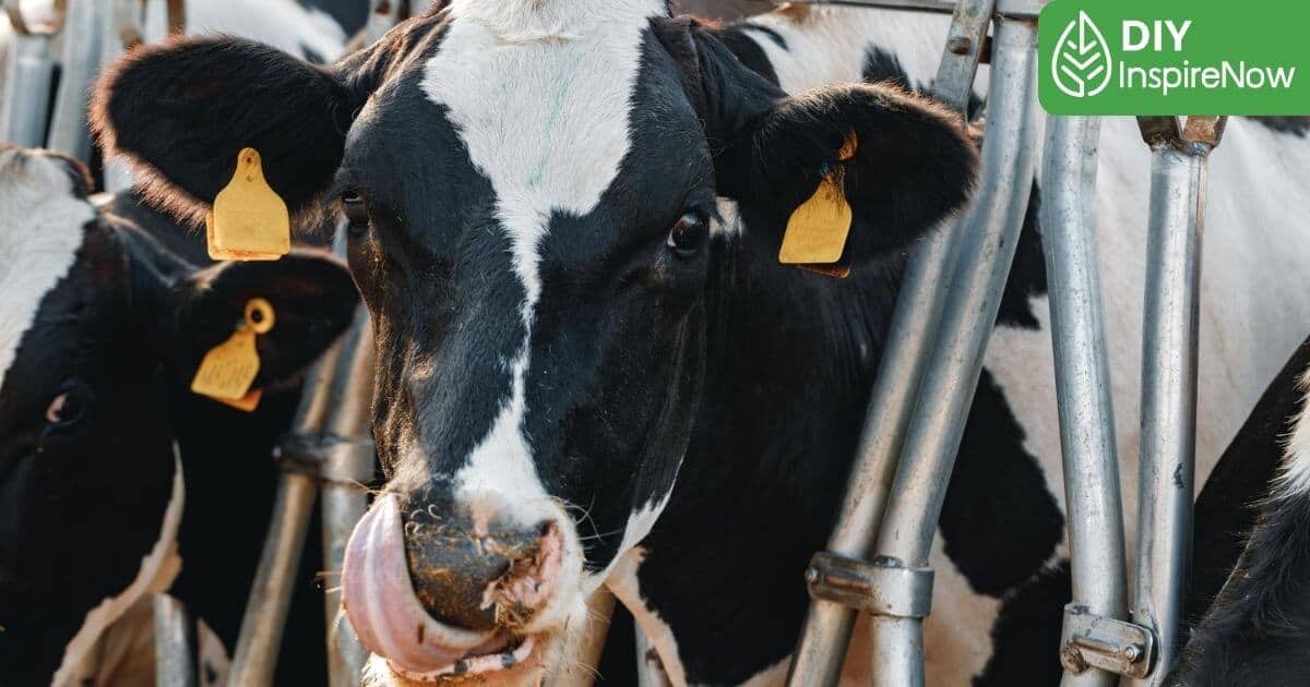 ที่เที่ยว สระบุรี มวกเหล็ก, สระบุรี ที่เที่ยว