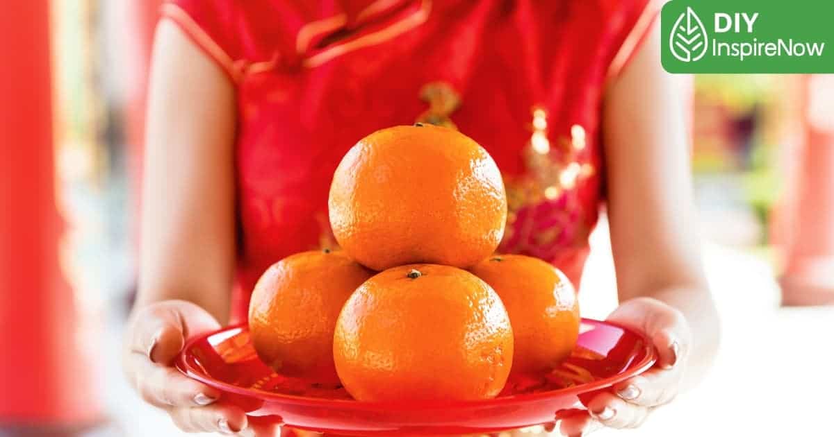 ส้มไหว้เจ้า, ส้มมงคล