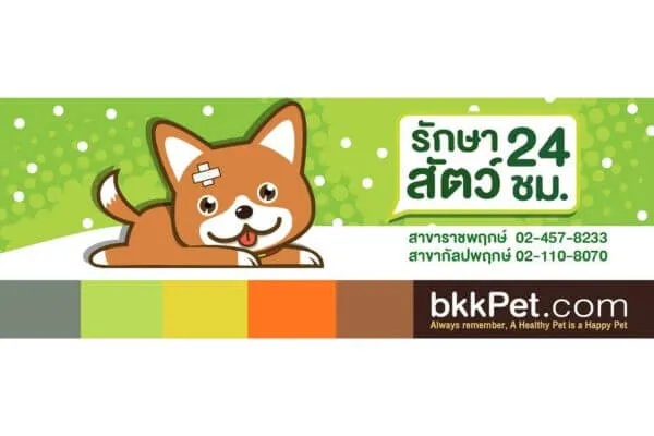 โรงพยาบาลสัตว์ 24 ชั่วโมง ใกล้ฉัน, โรงพยาบาลสัตว์ 24 ชม