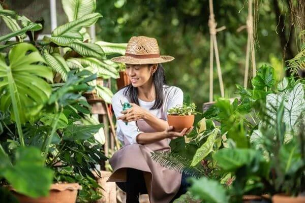 ไม้ยืนต้น มงคล, ไม้ยืนต้น มีอะไรบ้าง