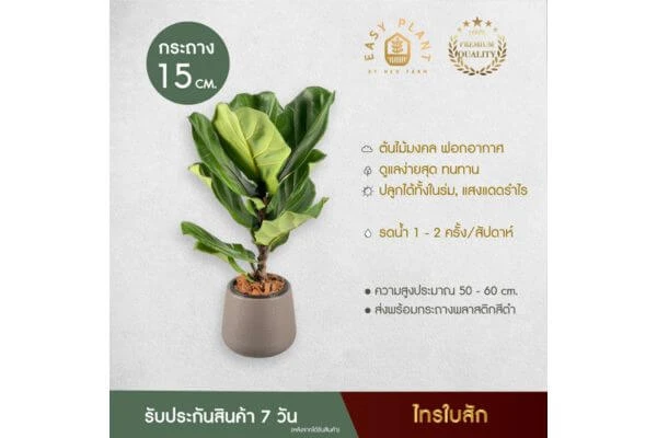 ของขวัญ สงกรานต์, ของขวัญให้ผู้ใหญ่