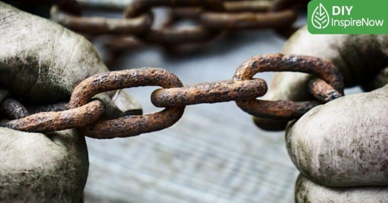 วันเลิกทาส, เลิกทาส