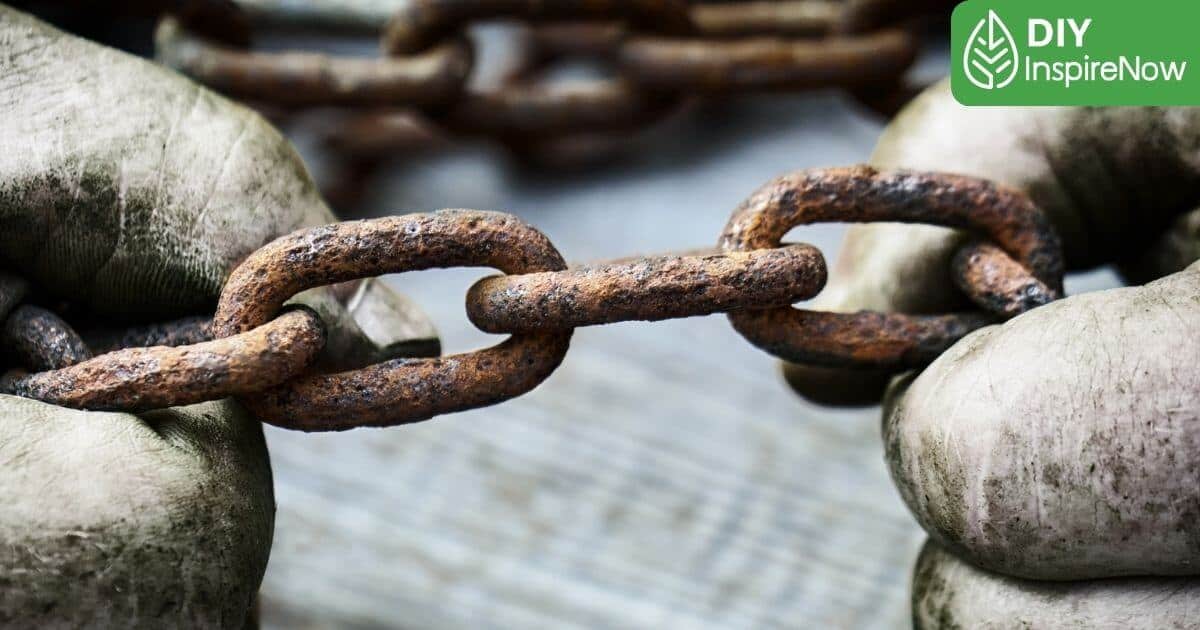 วันเลิกทาส, เลิกทาส