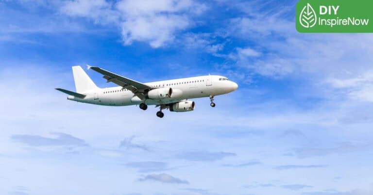 สายการบินญี่ปุ่น, สายการบินไปญี่ปุ่น