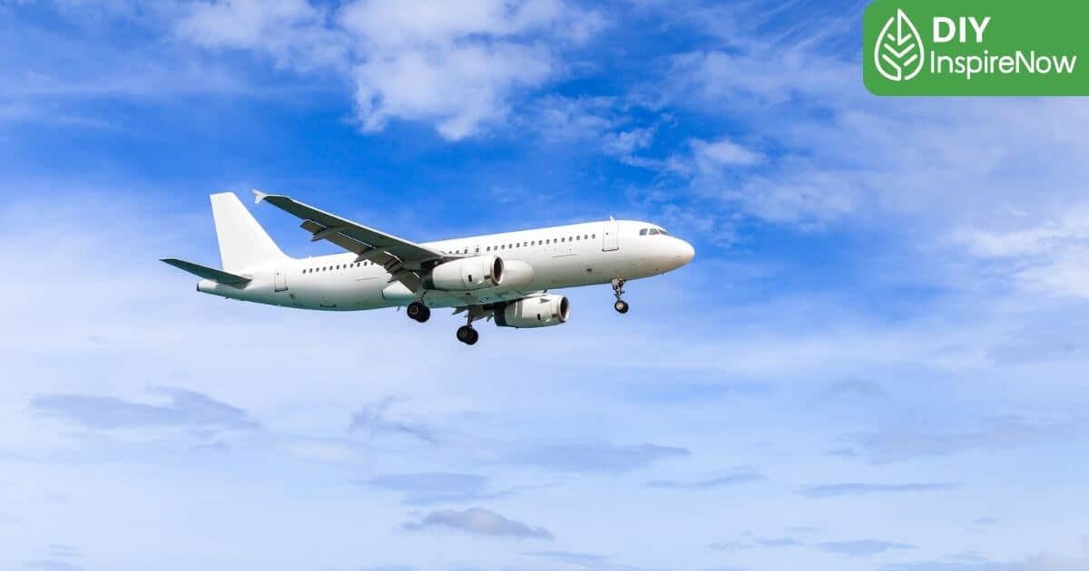 สายการบินญี่ปุ่น, สายการบินไปญี่ปุ่น