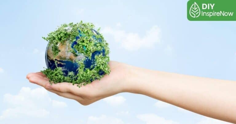 วันสิ่งแวดล้อม, วันสิ่งแวดล้อมไทย