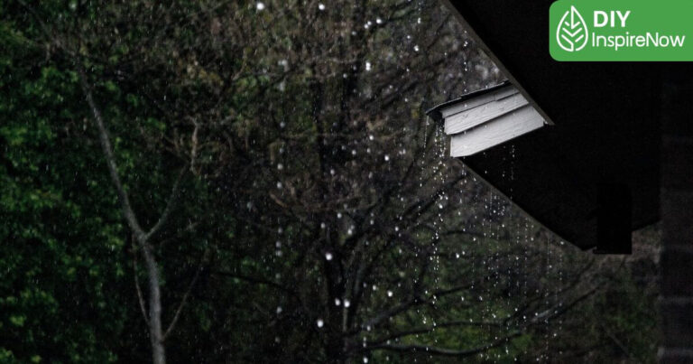 วันพระบิดาแห่งฝนหลวง, ฝนหลวง คืออะไร