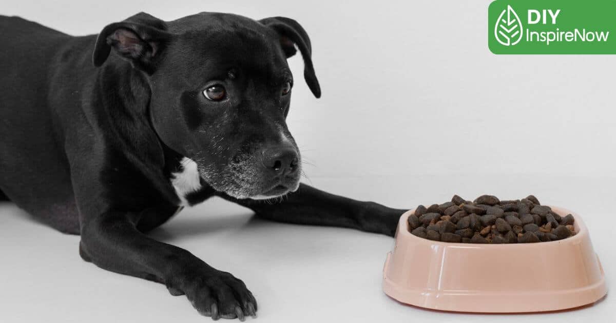 วิธีคลายเครียดสุนัข, สุนัขเครียด อาการ