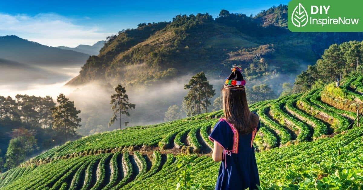 ที่เที่ยวธรรมชาติ เชียงใหม่, ที่เที่ยวเชียงใหม่ธรรมชาติ ใกล้ตัวเมือง