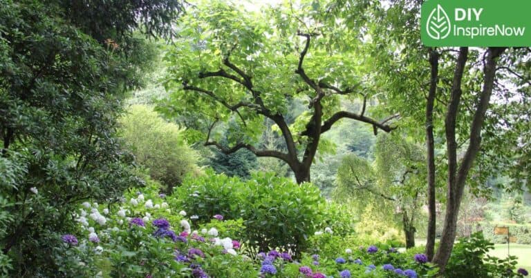 ไม้ยืนต้น มงคล, ไม้ยืนต้น มีอะไรบ้าง