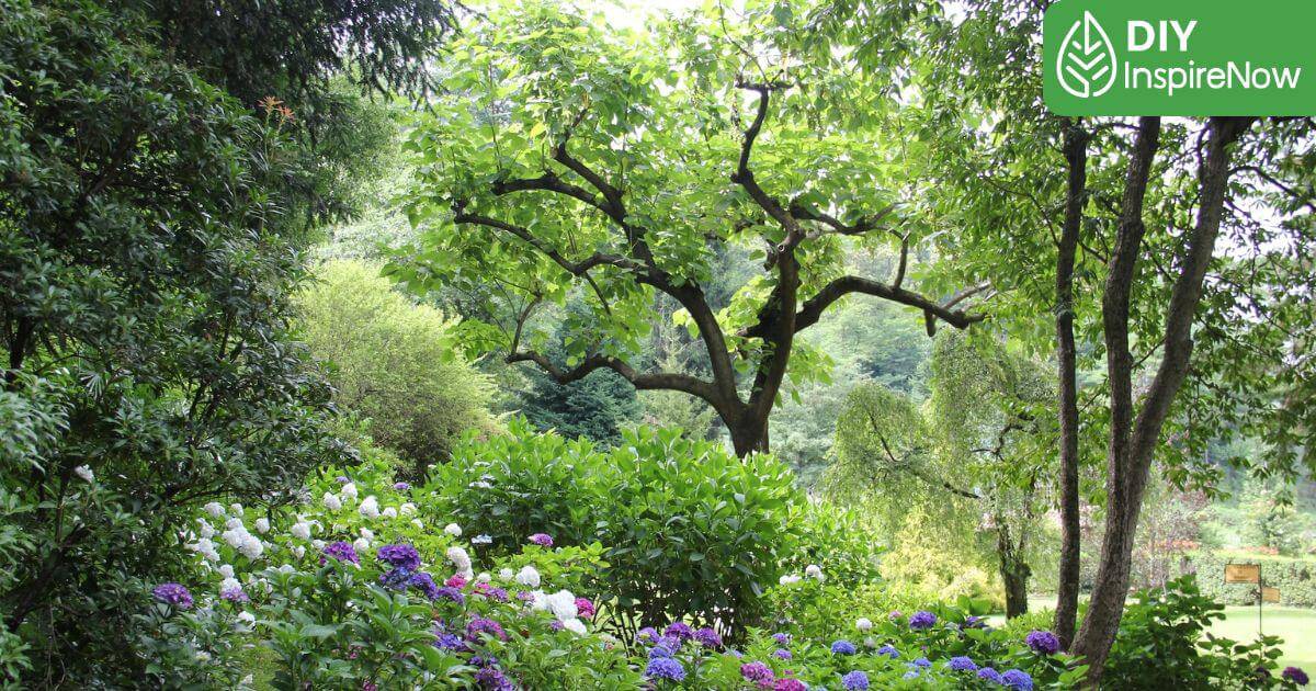 ไม้ยืนต้น มงคล, ไม้ยืนต้น มีอะไรบ้าง