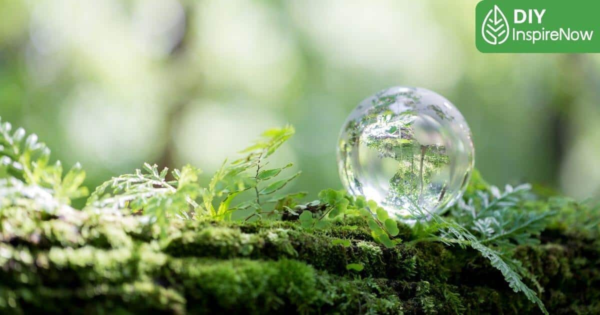 วันป่าไม้โลก, ป่าไม้ผลัดใบ คือ