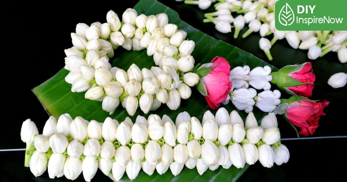 วิธีร้อยพวงมาลัย, วิธีร้อยพวงมาลัยไหว้พระ