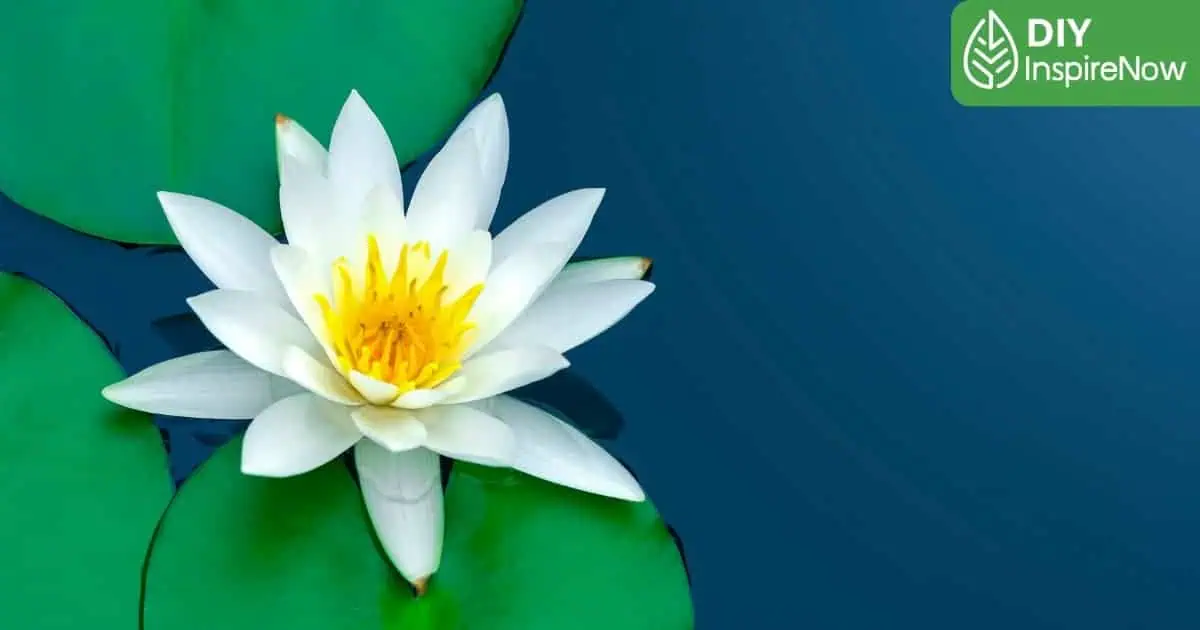 หลักสัปปุริสธรรม 7 ในชีวิตประจำวัน