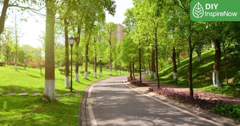 สวนสาธารณะ กทม.