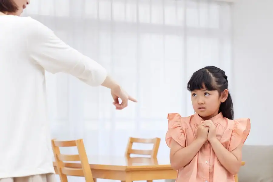 Parenting Styles, วิธีสอนลูก, ประเภทของครอบครัว