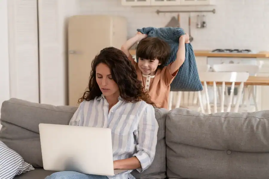 Parenting Styles, วิธีสอนลูก, ประเภทของครอบครัว