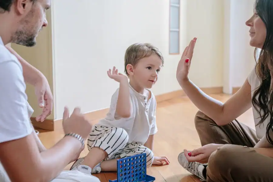 Parenting Styles, วิธีสอนลูก, ประเภทของครอบครัว