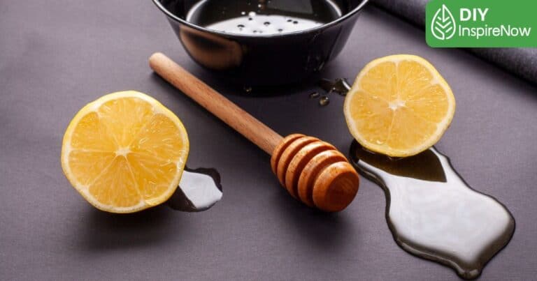 วิธีทำเลม่อนแช่น้ำผึ้ง