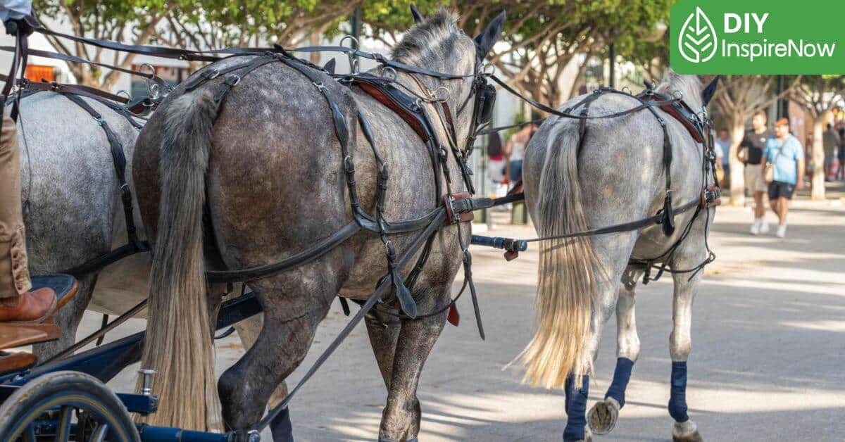 ที่เที่ยวลำปาง แม่เมาะ