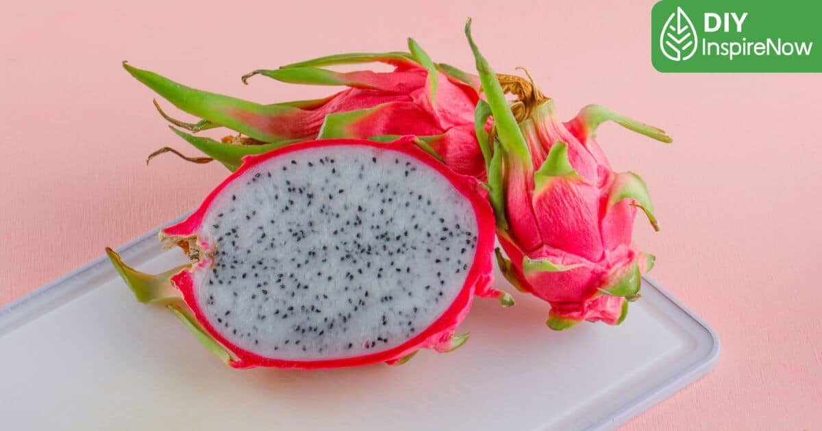 เมนูแก้วมังกรทารก