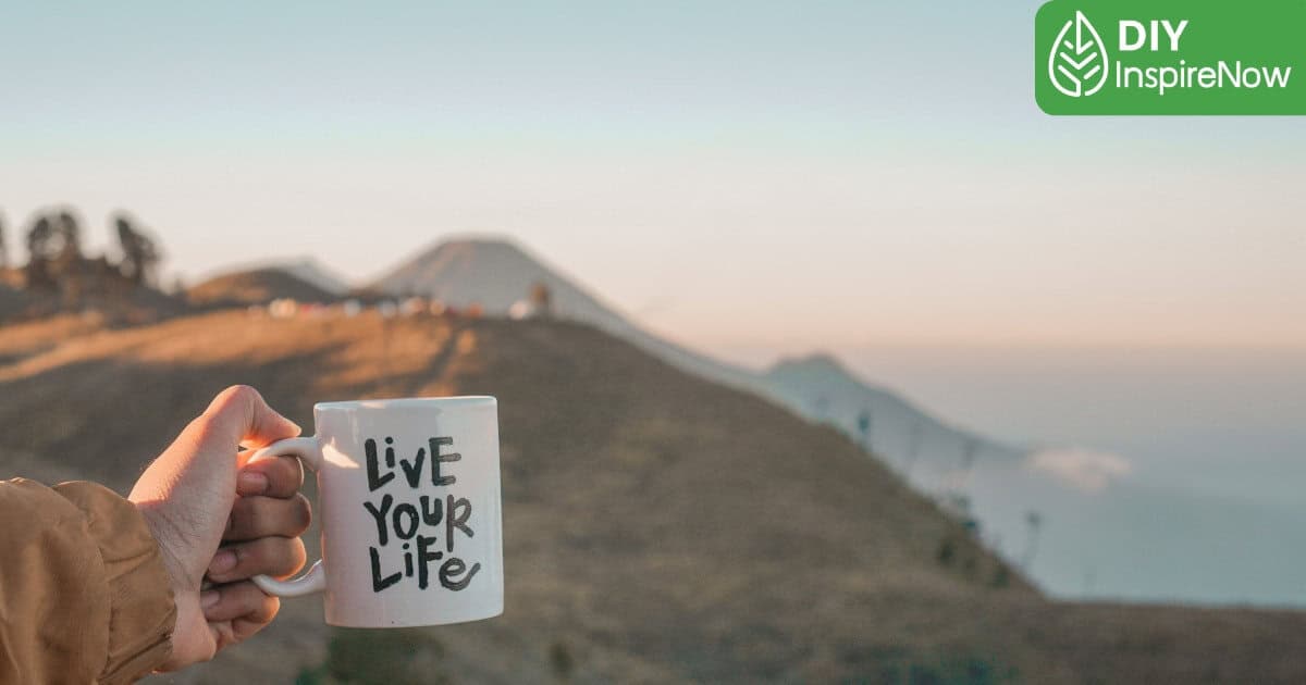 human design คือ