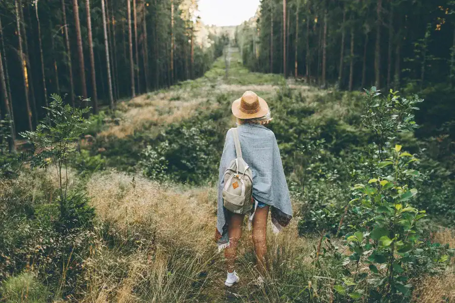 human design คือ