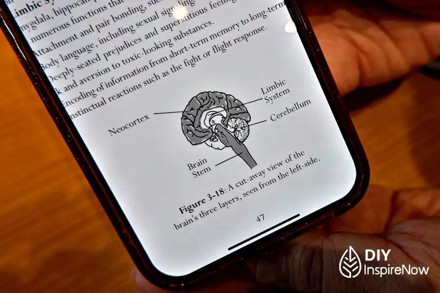 16 บุคลิกภาพ, MBTI แต่ละตัว, cognitive function คือ, MBTI ที่หายากที่สุด, MBTI มีอะไรบ้าง